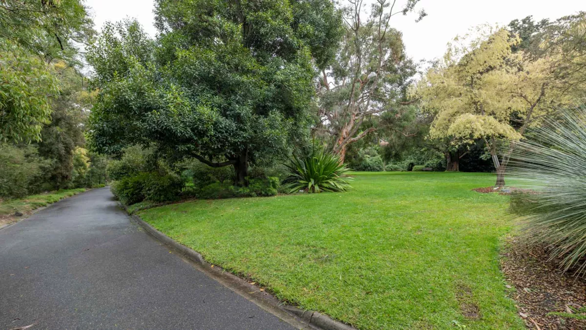 Grass area with a diverse selection of medium-sized trees and a walking path to the left.