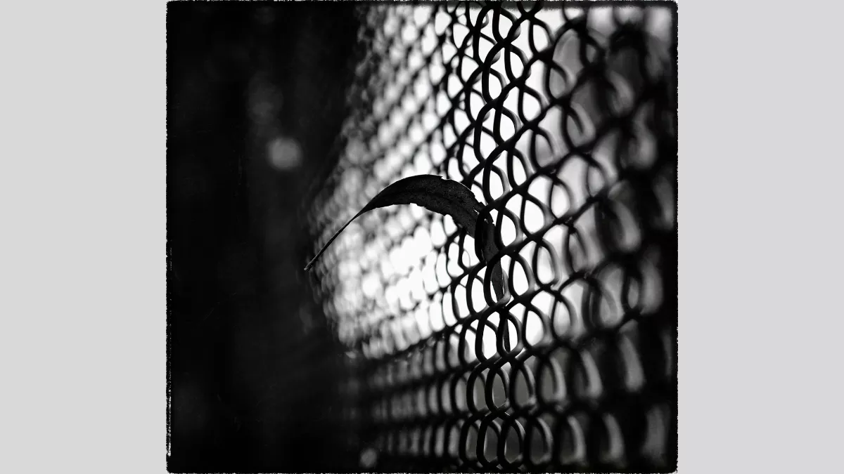 Black and white close-up of chicken wire fence with a long, thin object sticking out.