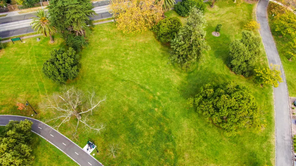 Aerial view of grass area with footpaths at the bottom and right and scattered medium-sized trees. There is a road at the top.