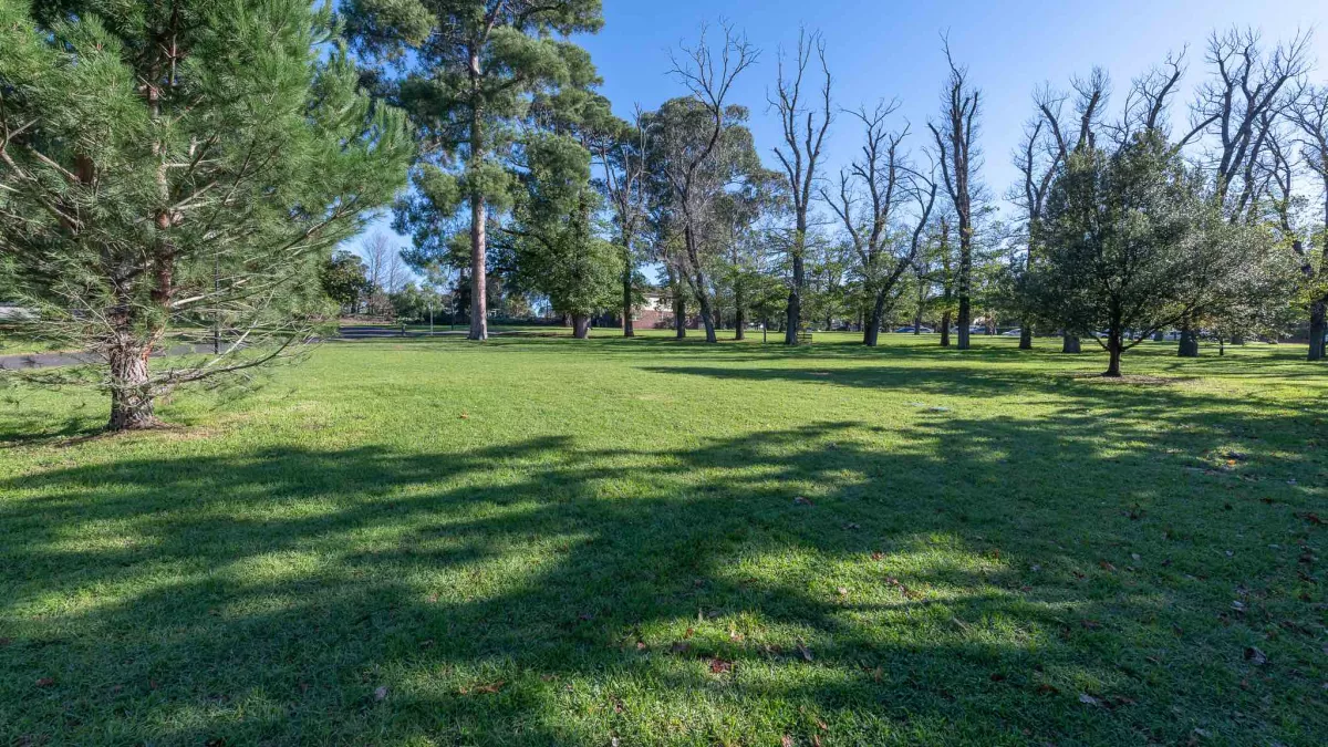 Grass area in sunshine with line of bare trees to the far right and leafy trees to the far left. There is a small tree to the near left and tree shadows across the grass.
