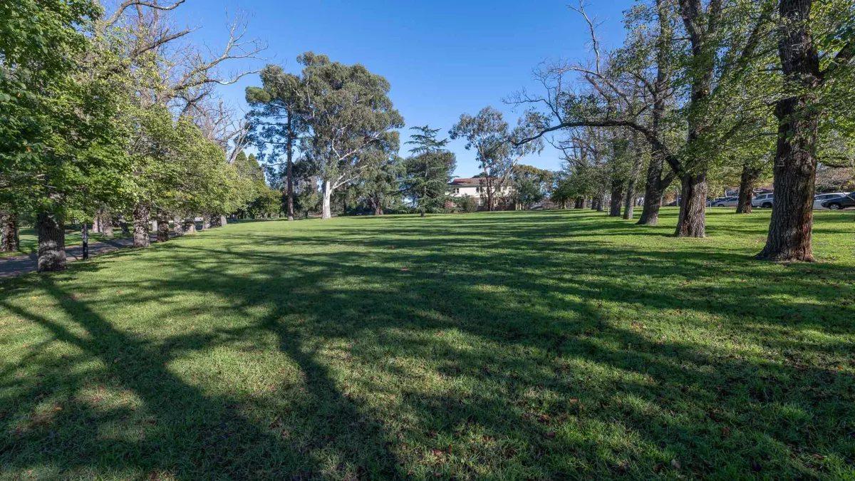 Grass area covered by a mix of sunshine and large tree shadows. There is a line of large trees to the right and straight ahead. Medium trees line a walking path to the left.