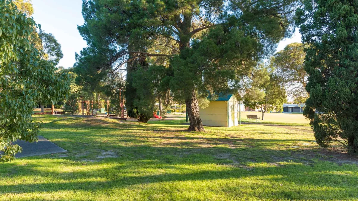 Small grass area with bare dirt patches and a large tree in the middle. There is a small cream white building next to a park bench and sportsground in the background. Trees are visible at the near left and right and in the distance.