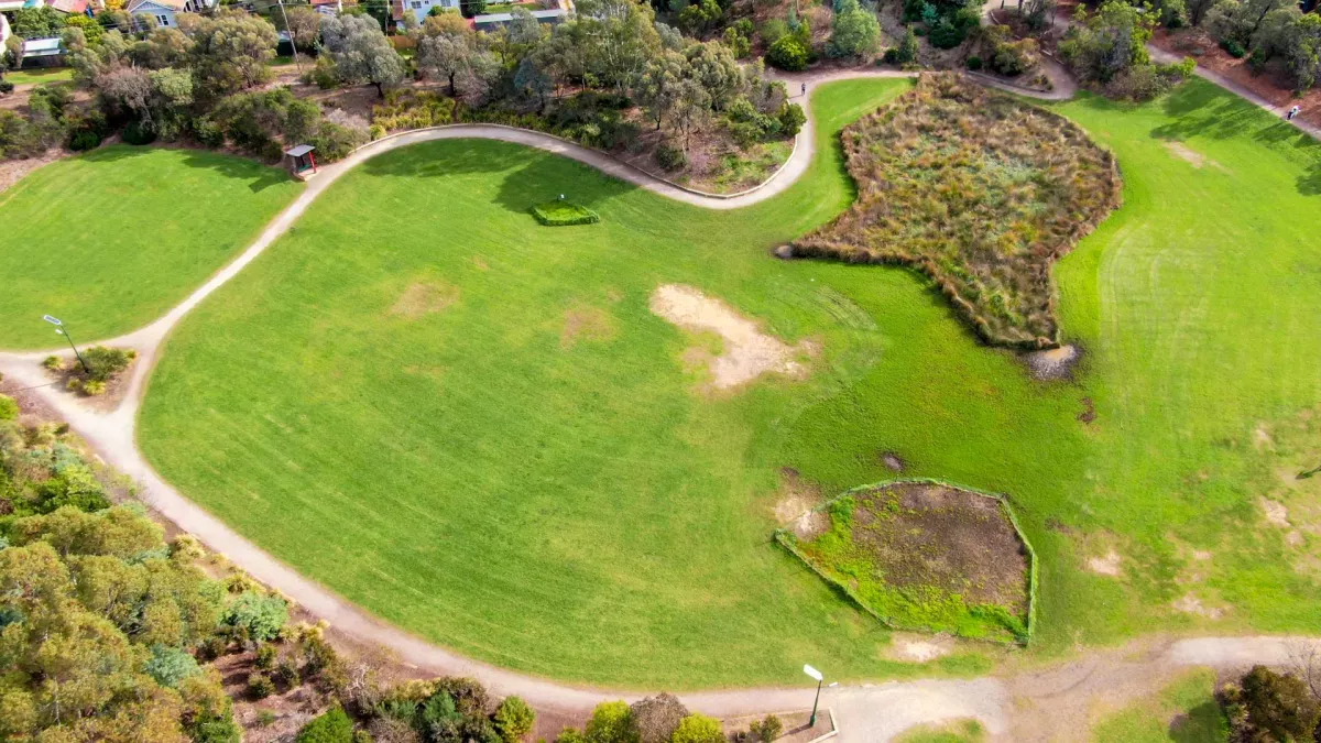 Aerial view of grass space surrounded by dirt track, with bare patches in the middle and to the right. There are patches of shurb and dirt to the right, with trees at the top and bottom.