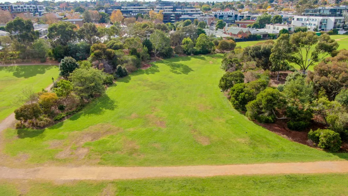 A large open green space surrounded by a row of trees on the left and right. A straight dirt path runs directly in front. 