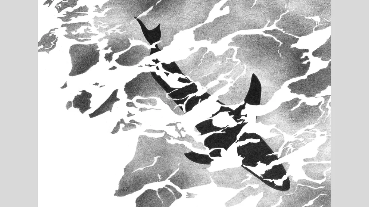 ‘The Antipodes in Words and Pictures’ by Gosia Lapinski and Michal ...