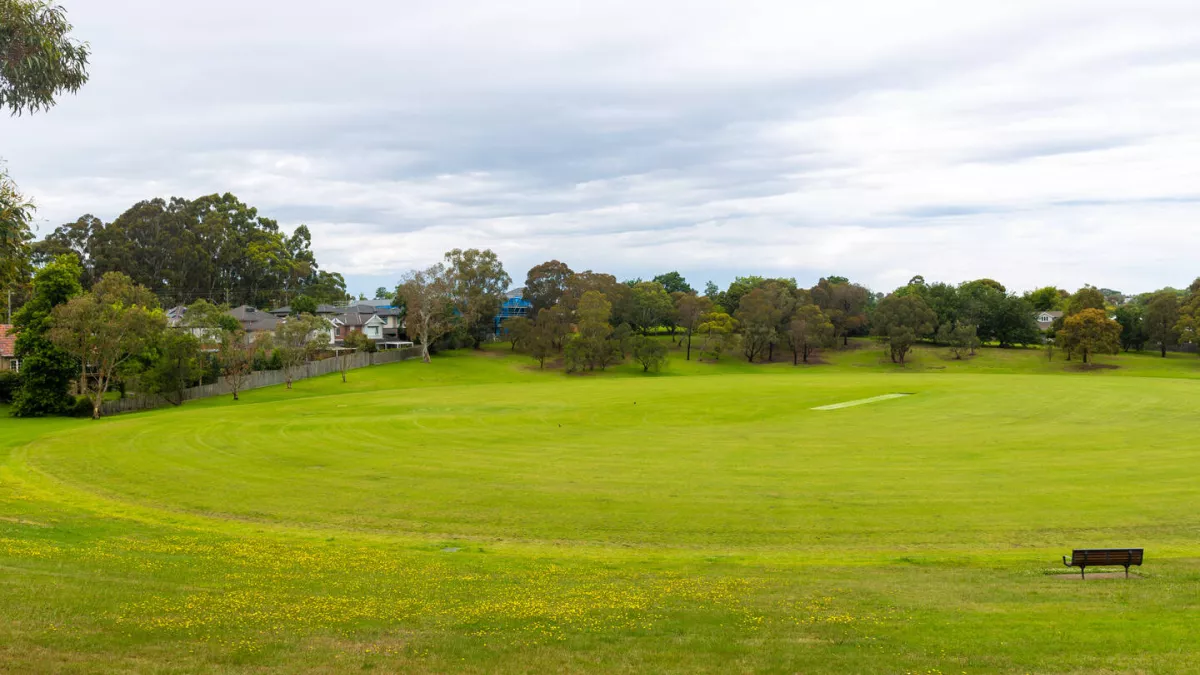A green sports oval. In the background are tall green trees and houses. 