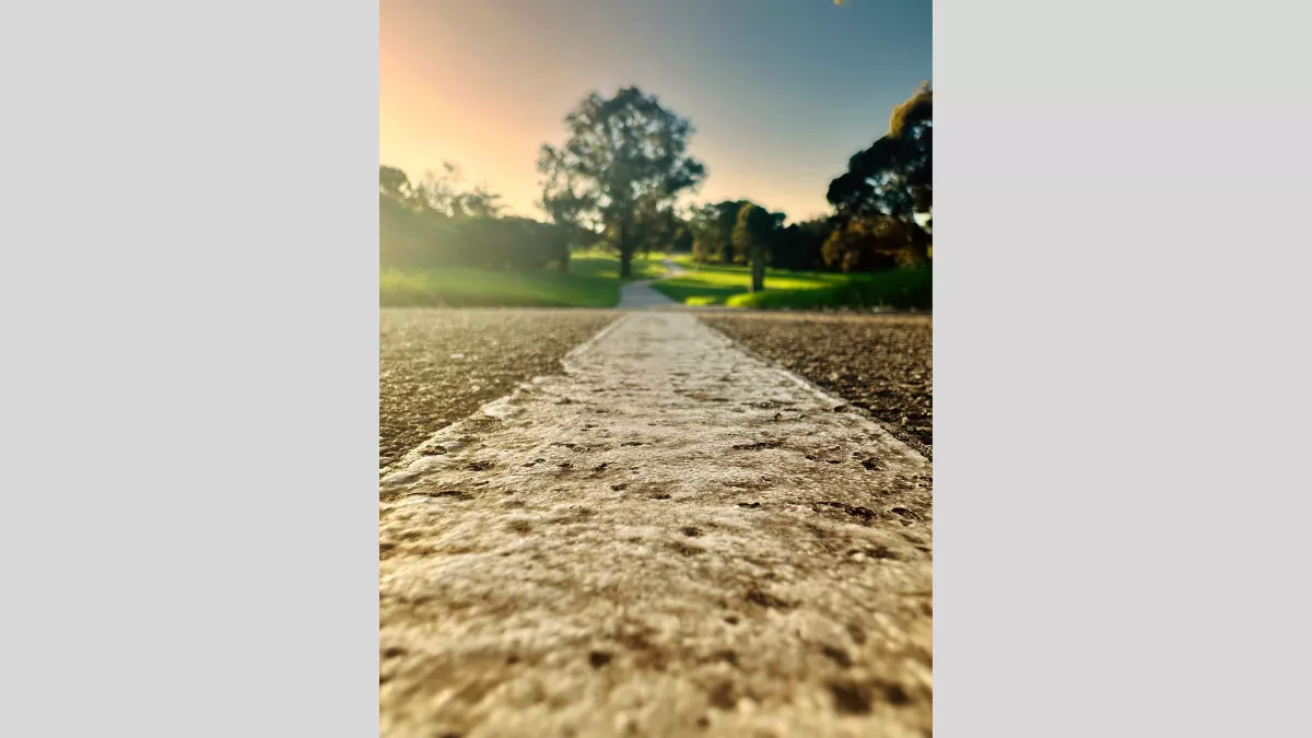 A ground-level view of a trail leading into a park at sunset. The perspective focuses on the textured surface of the trail with trees and greenery in the background, illuminated by the warm glow of the setting sun.