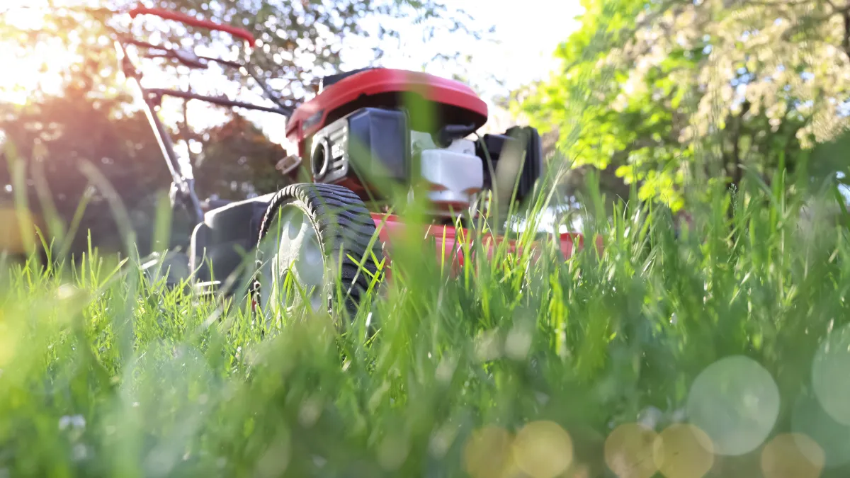 Lawnmower mowing grass