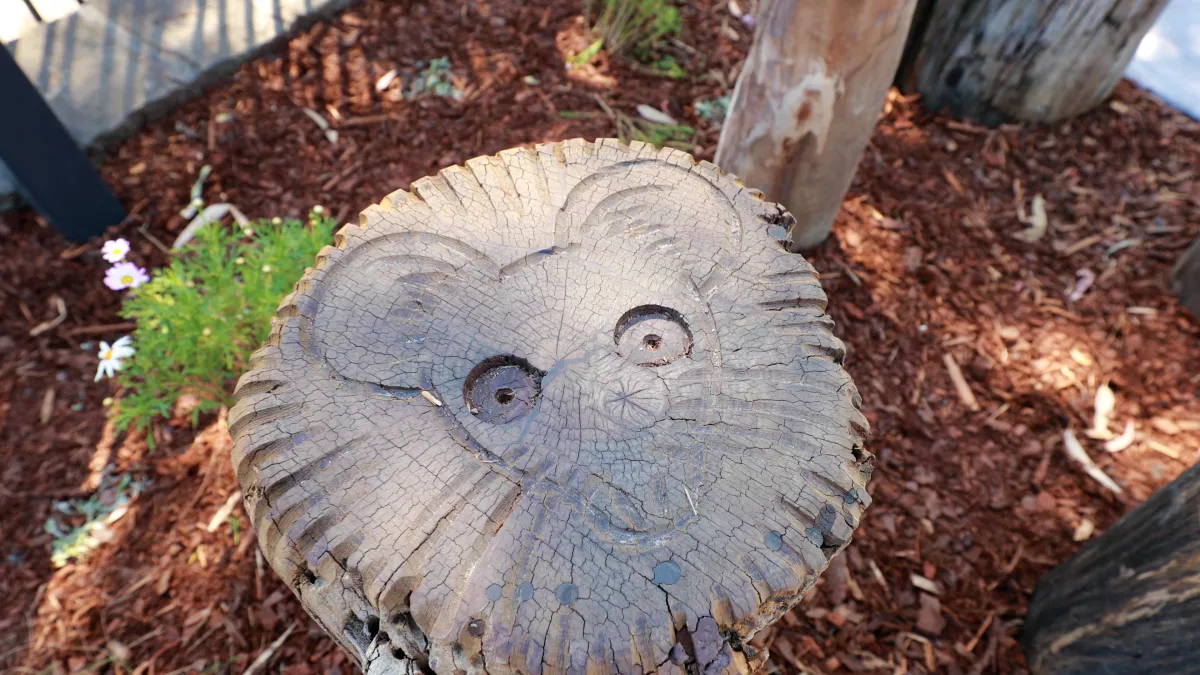 concrete imprint of an animal among tan bark