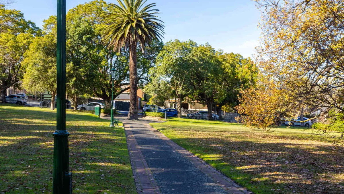 A asphalt path runs through a park. A palm tree is at the end of the path.