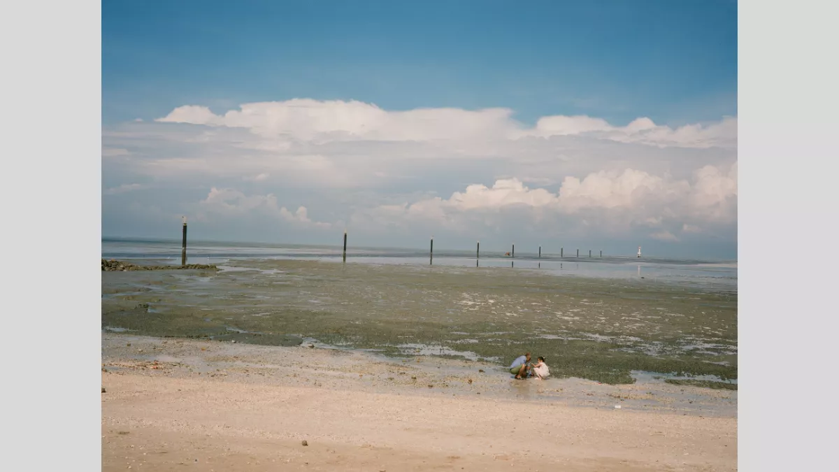 Photograph of a beach at low tide. An adult and child are crouched looking at shells.