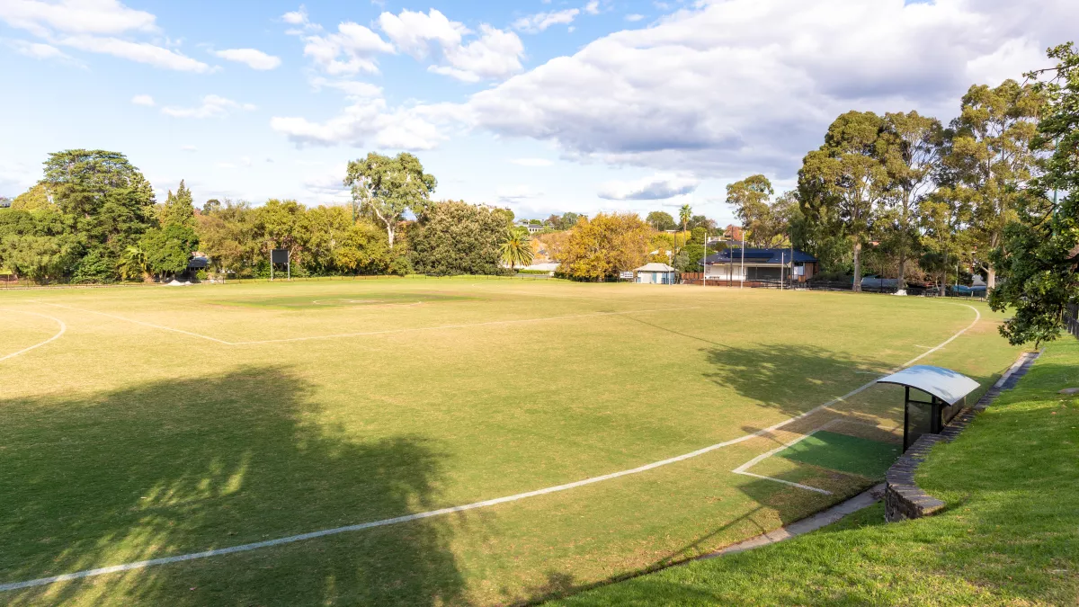 Large trees cast their shadows on a grassy sports oval