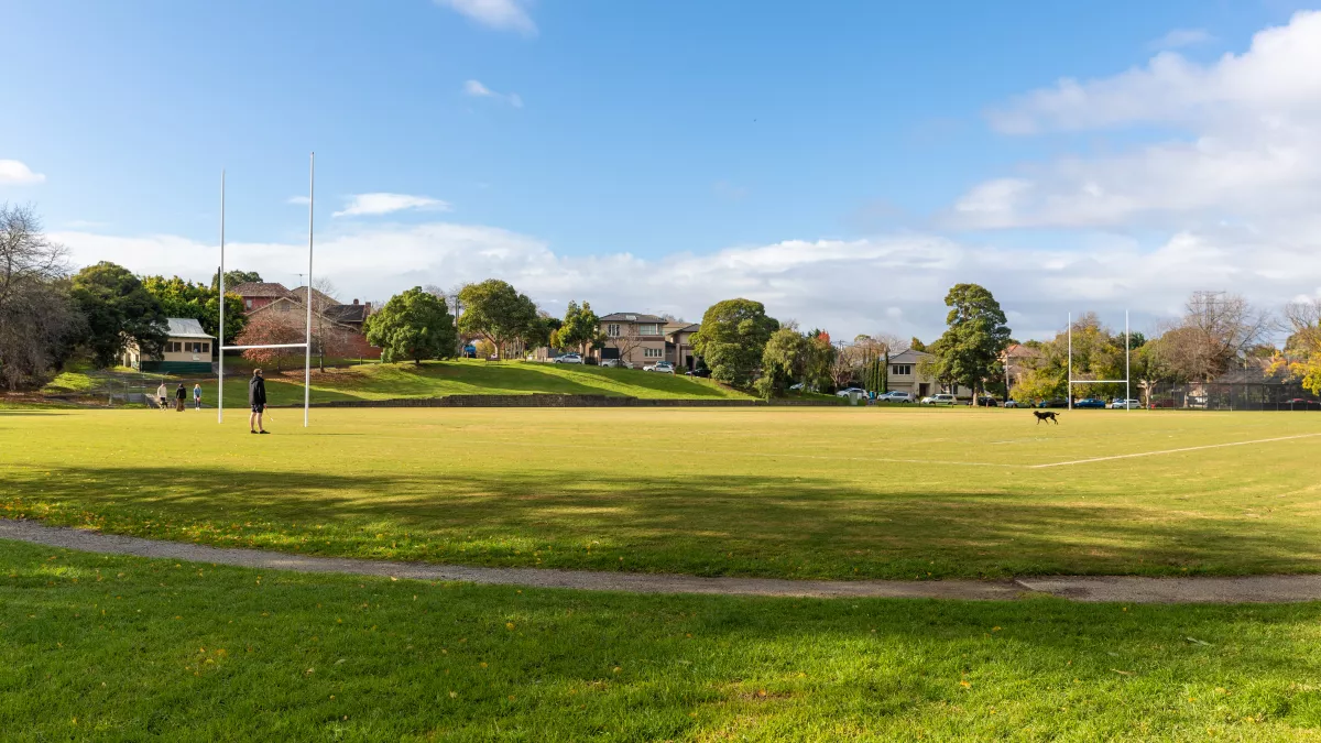a sports oval with a dog and a goalpost