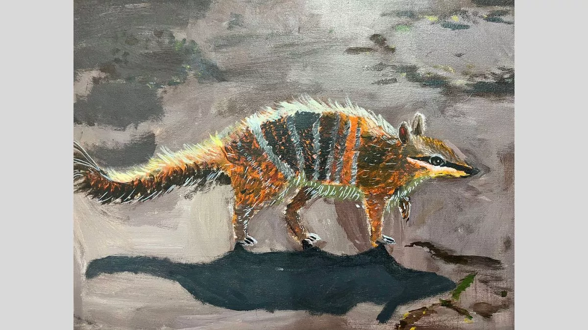 A realistic acrylic painting of a numbat in earthy brown, orange, and white tones. The small marsupial is depicted walking on a textured surface, its striped fur and shadow giving depth to the composition.