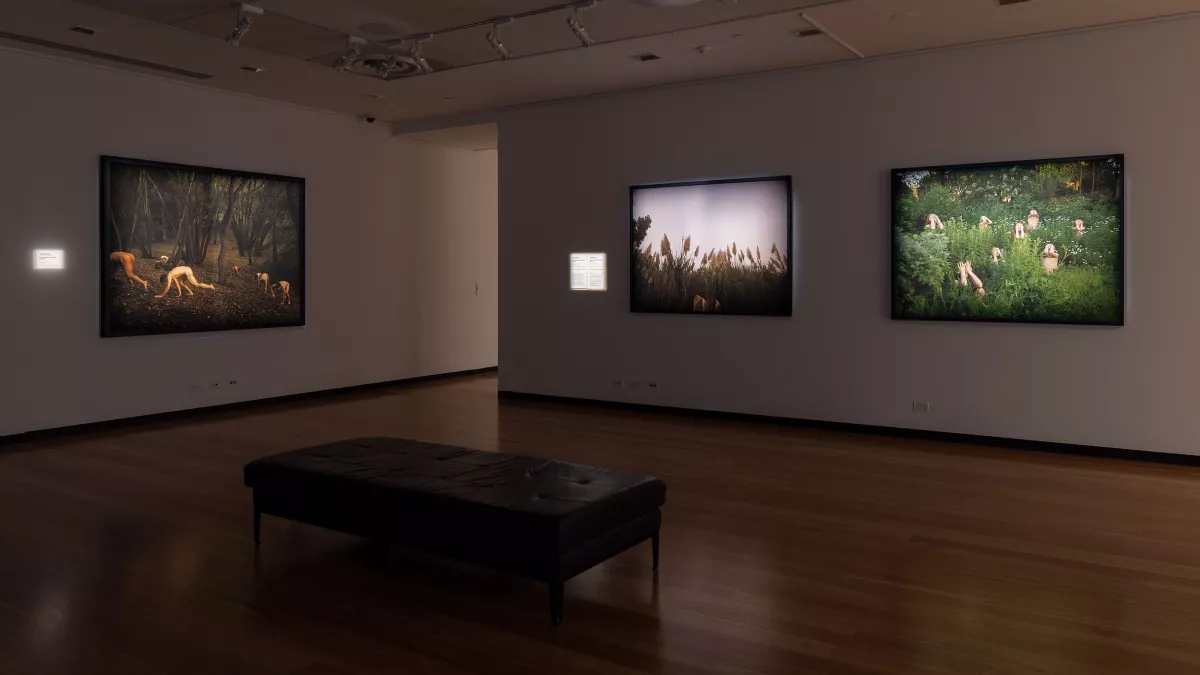 A dimly lit gallery featuring large-scale, surreal photographic works depicting figures merging with nature in mysterious, atmospheric landscapes.