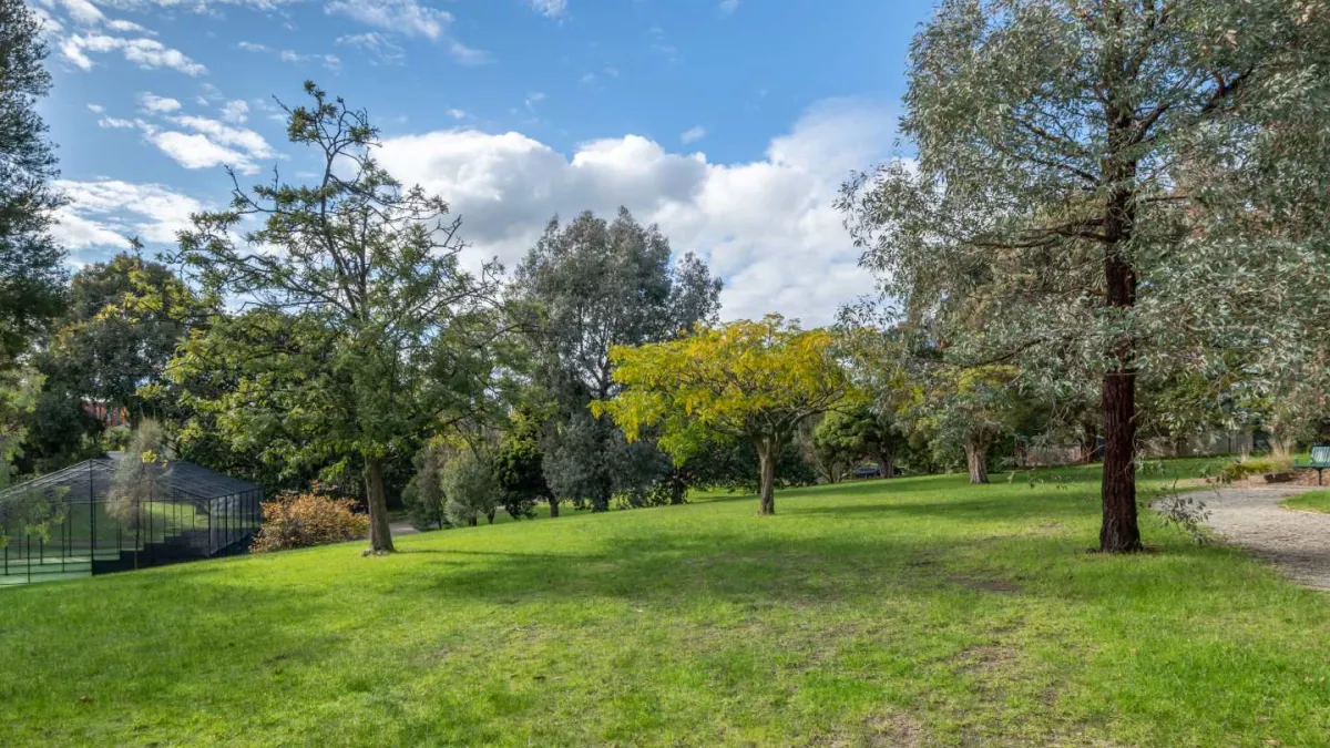 A grass clearing in a park surrounded by trees