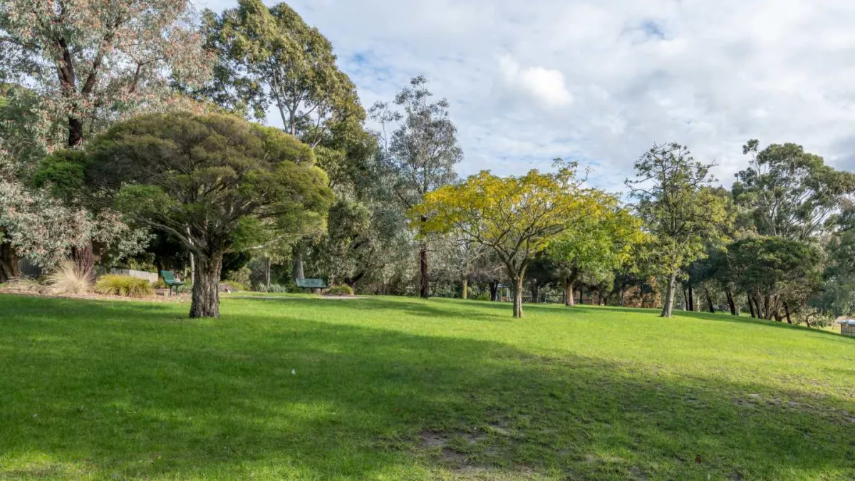 A grass clearing in a park surrounded by trees