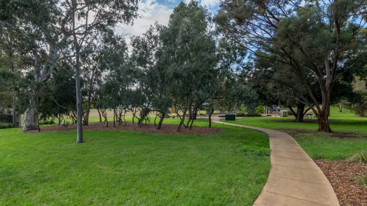 A foothpath through a green open space. Trees are in the background