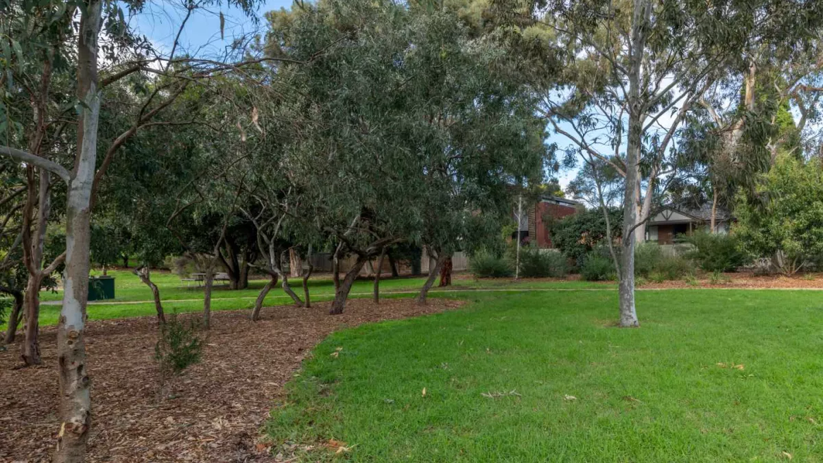 A grass clearing surrounded by mulch and trees