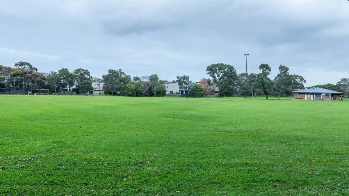 A grass field surrounded by trees