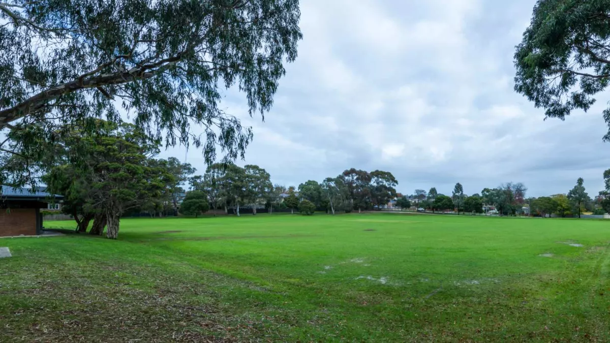 A green open space surrounded by trees