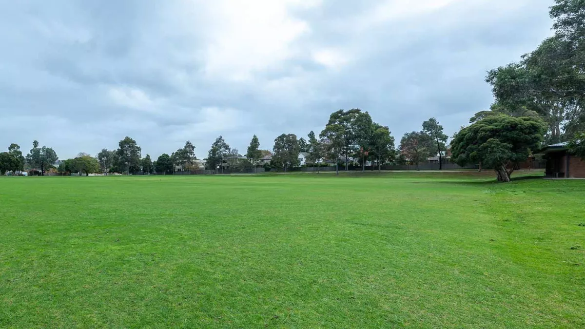 An open green space with trees in the background