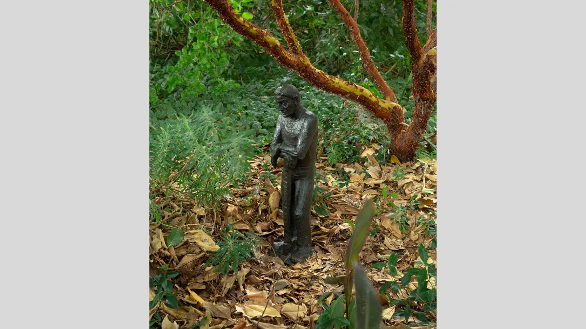 A bronze statue of an old man leaning on a cane. The statue is in a leafy garden bed.