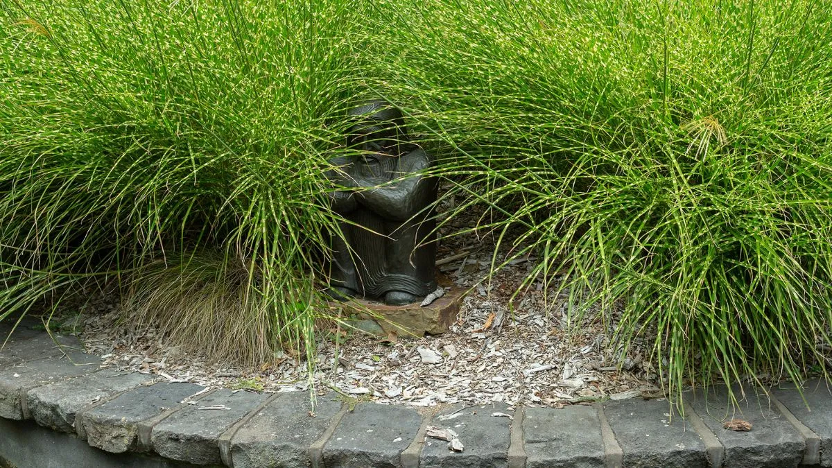 A bronze statue of a seated man with a beard, his arms around his knees. The figure is well hidden amongst the grassy plant