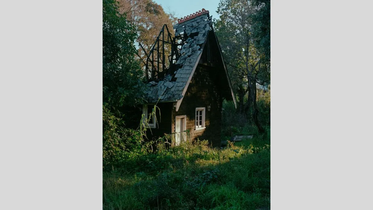 A small, weathered house partially hidden by overgrown grass and trees. The roof is badly damaged, with parts of it caved in or burned. The setting is natural and shadowed by tall surrounding vegetation.
