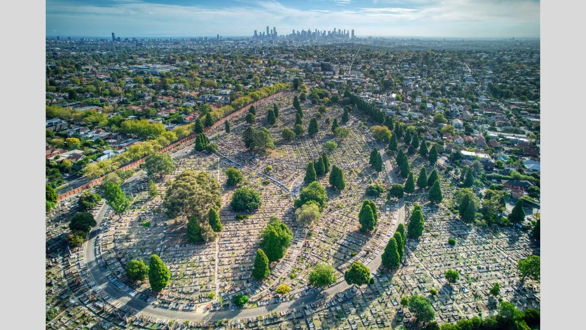 A wide aerial view of a cemetery with rows of graves and tall trees forming circular patterns. The surrounding residential area stretches out toward the horizon, where a distant city skyline rises under a blue sky.