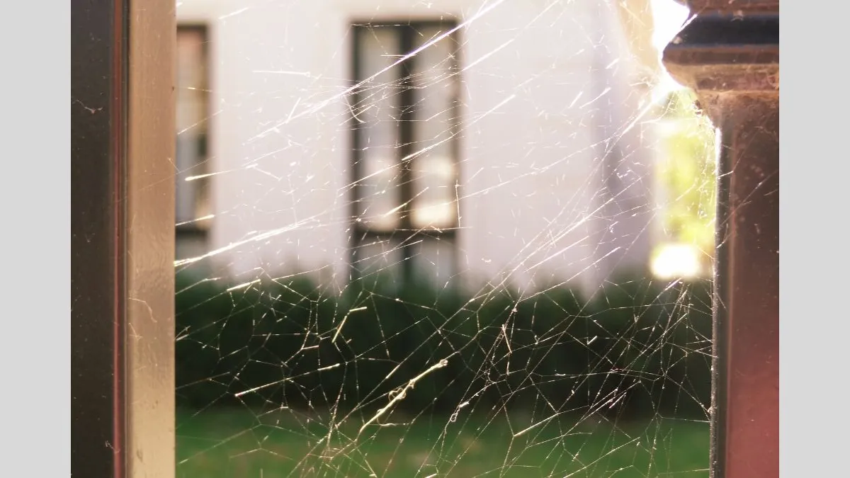 A spiderweb stretched between two vertical bars, shown in sharp focus against a blurred background of a white building and greenery. The fine threads of the web catch and reflect sunlight.