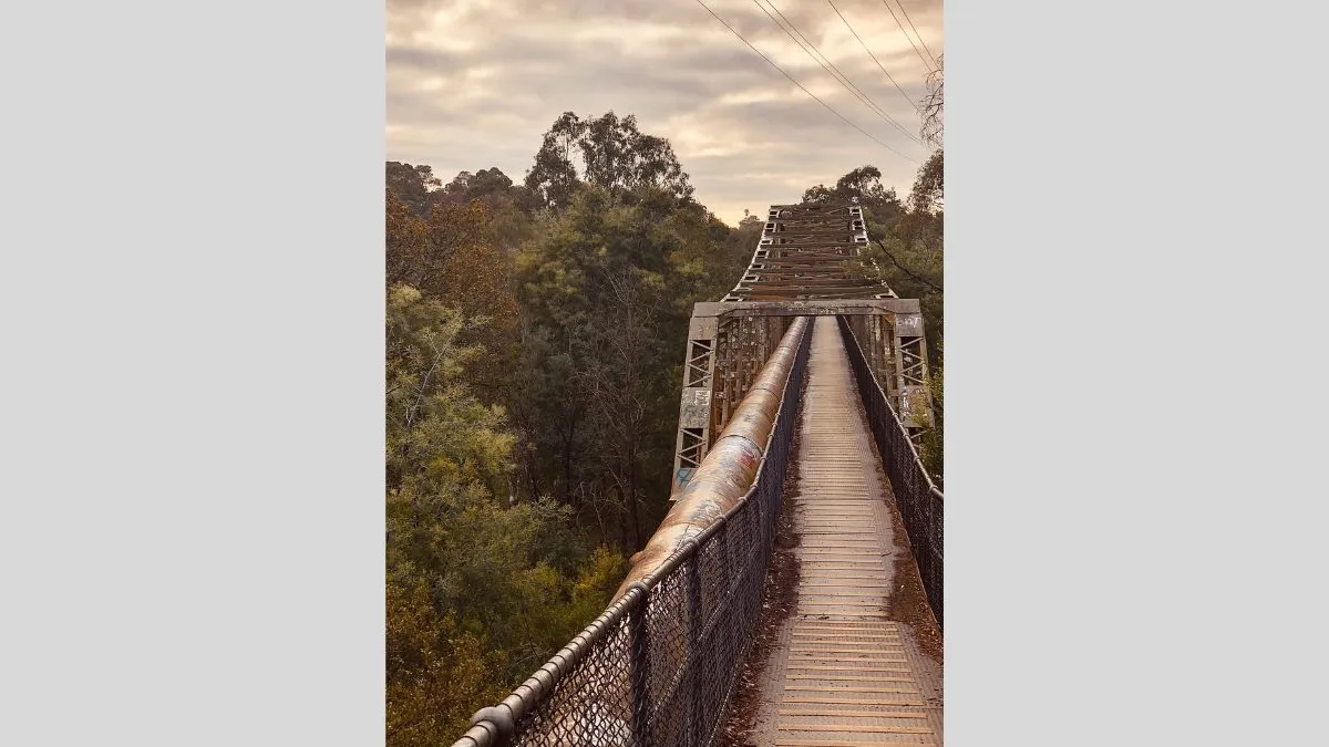A metal pedestrian bridge stretches into the distance, flanked by chain-link fencing. The bridge spans a densely forested area with tall trees on both sides under a soft, clouded sky.
