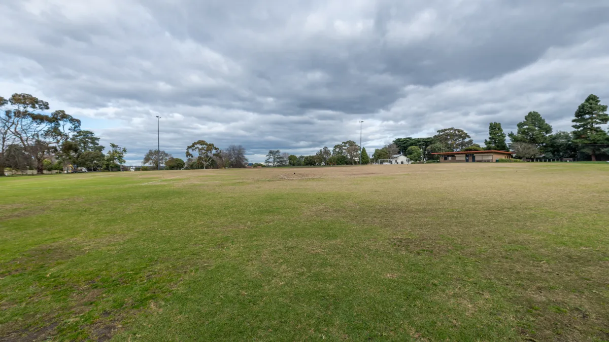A green park area with trees and buildings in the background