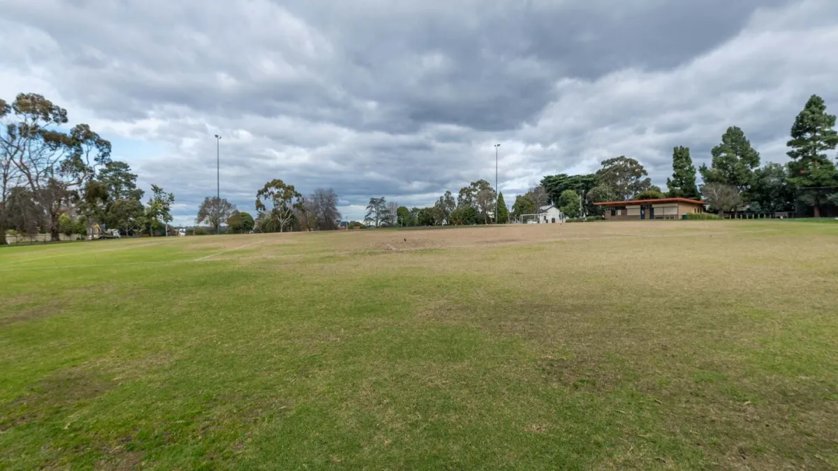A grass field. A building and sportsground lighting are in the background
