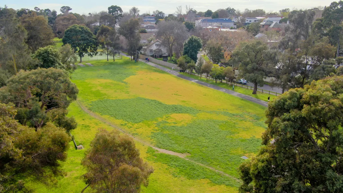 Aerial view of a park with a large, grassy field. Trees border the field, a paved path runs along on side. 