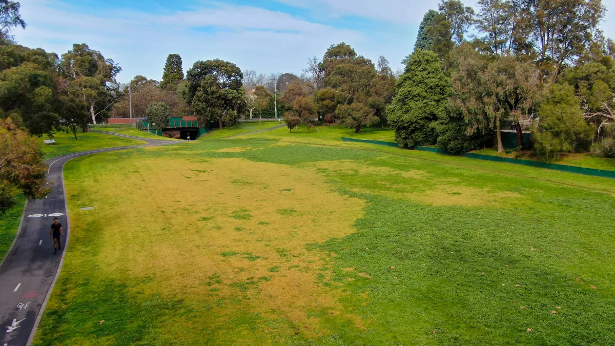 An aerial view of a park with a large grassy area and a paved path.