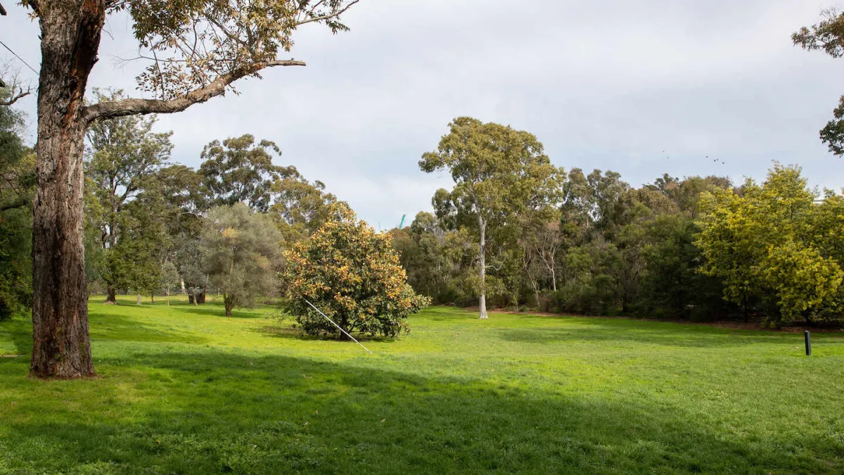 A grassy open field surrounded by trees