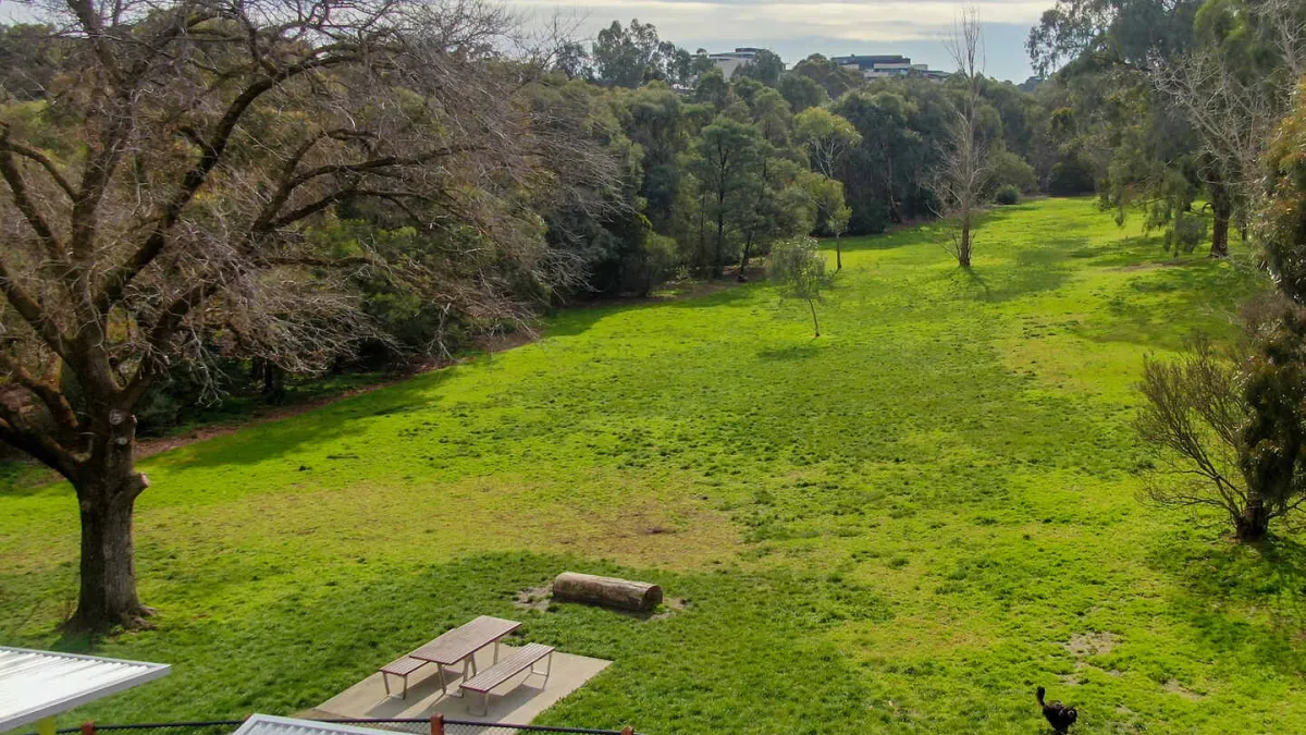 Aerial view of a large grassy field in a park surrounded by trees. Picnic tables, a log seat and an uncover area is visible. 