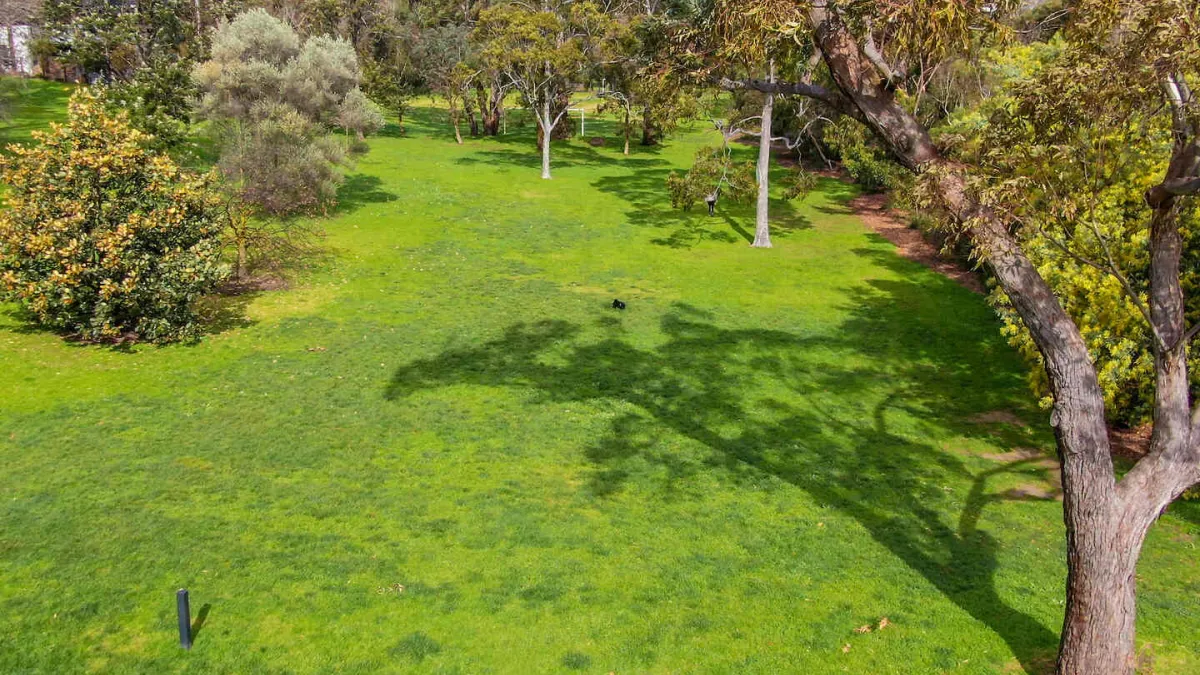 A gree park with trees of varying sizes. 