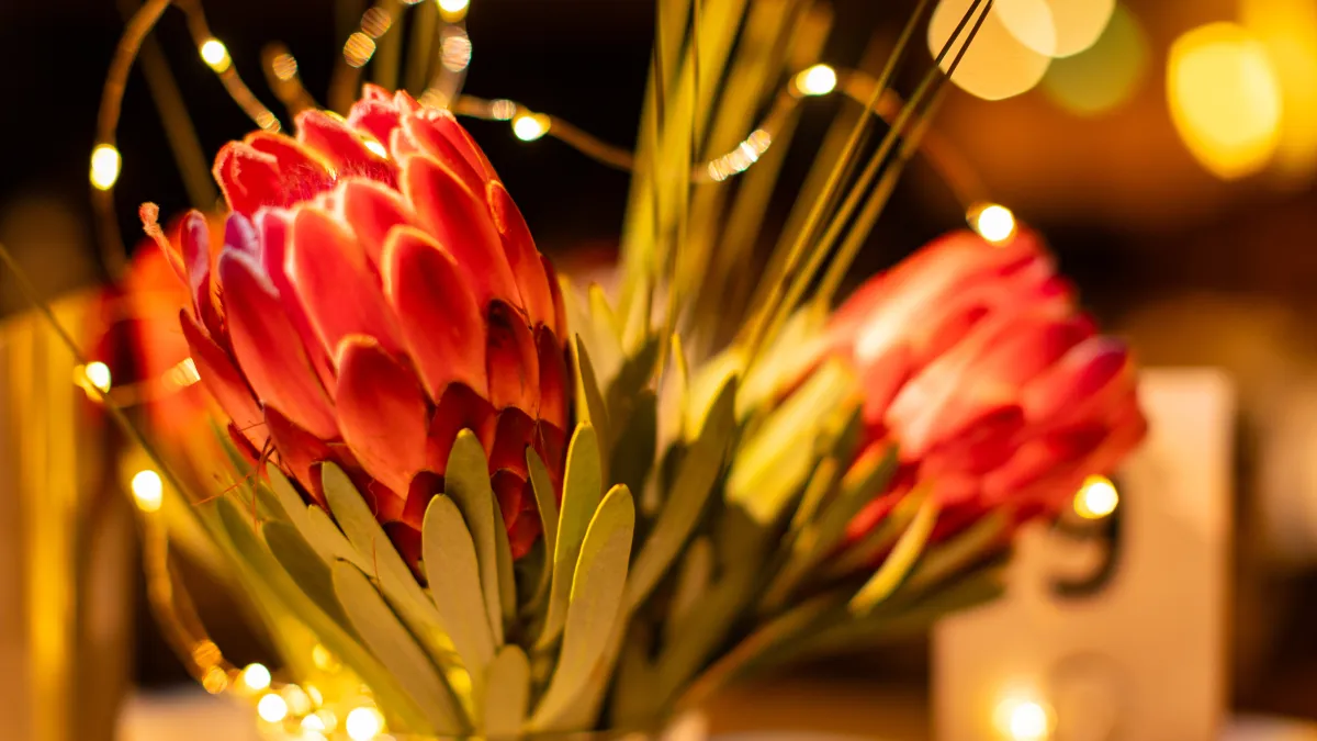 A vase of beautiful native flowers in a candle-lit room