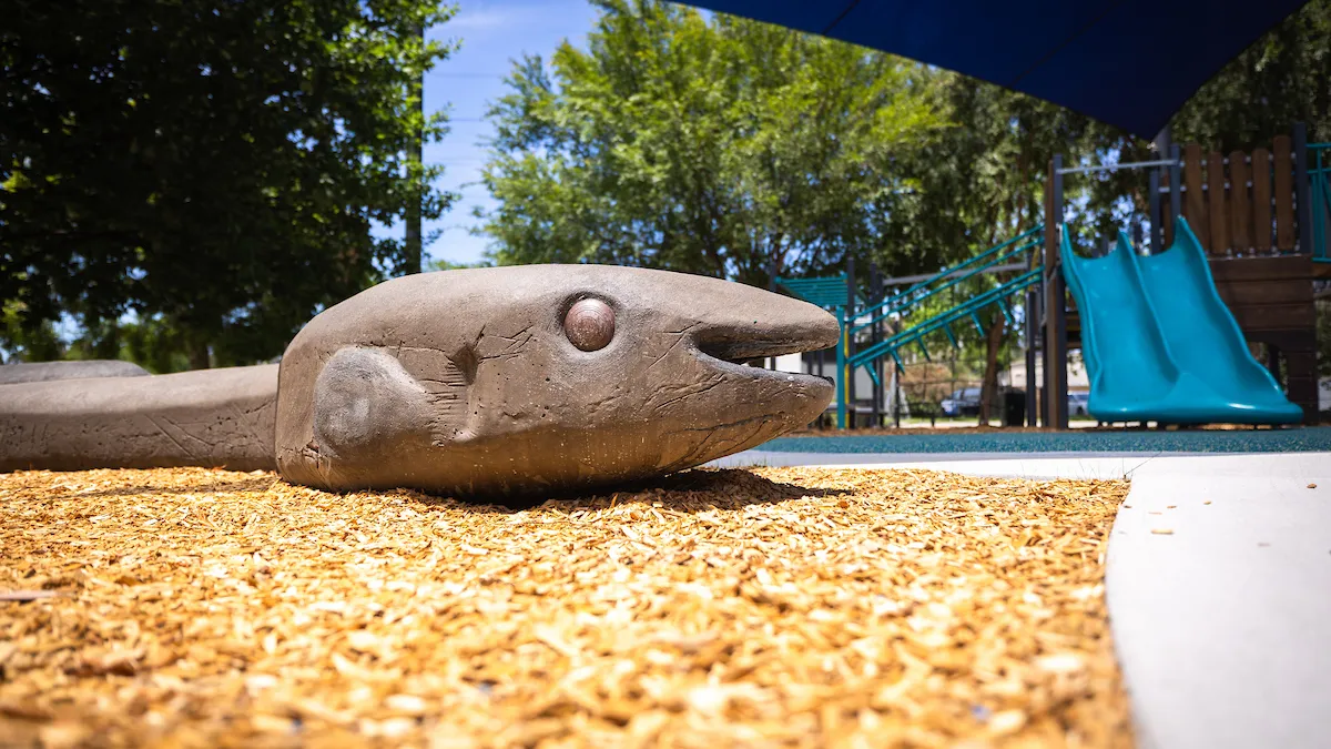 a wooden climbing sculpture of a lizard on tan-bark ground