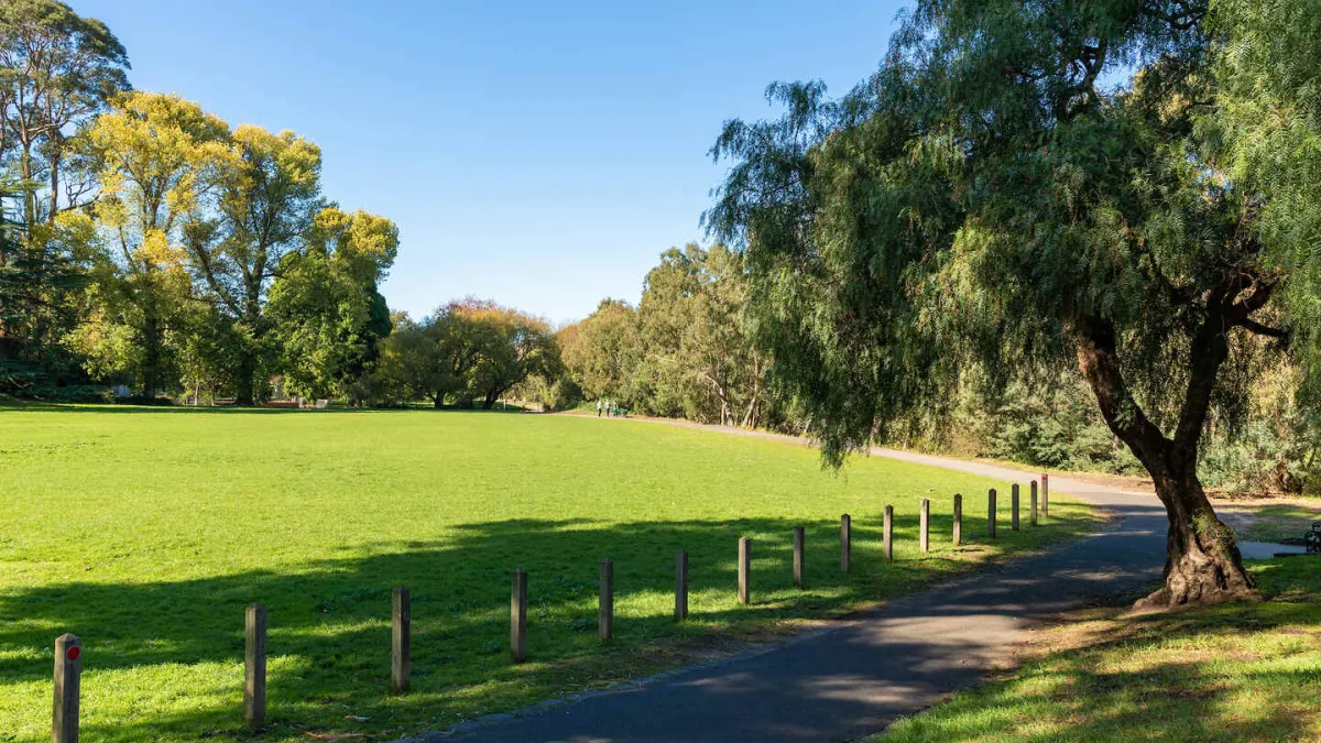 A open space park area with tall trees. A walking path is in the foreground