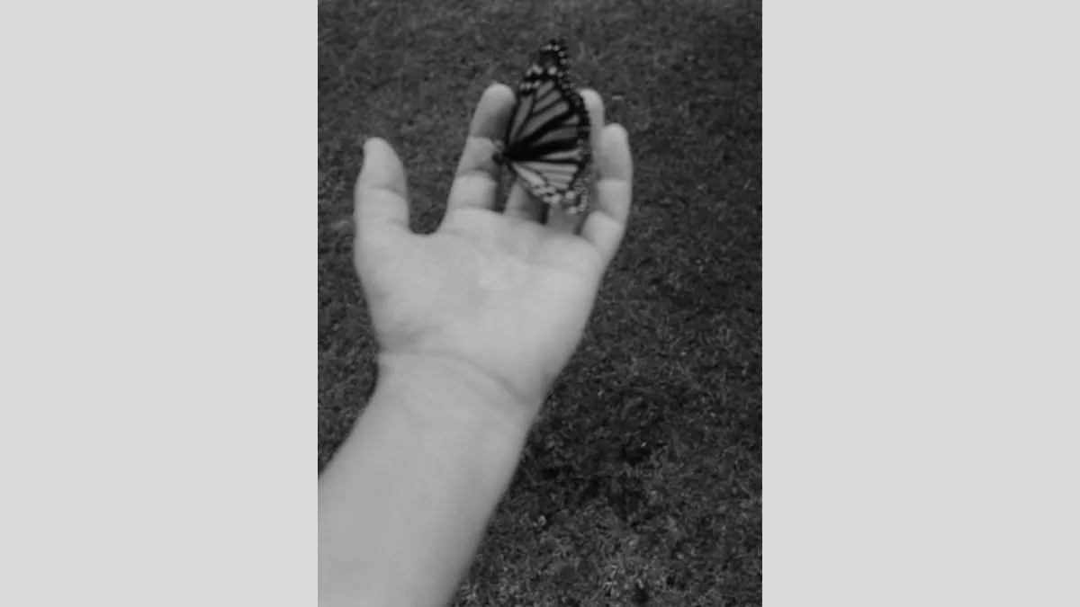 A black and white image of a butterfly perches on an open hand. 