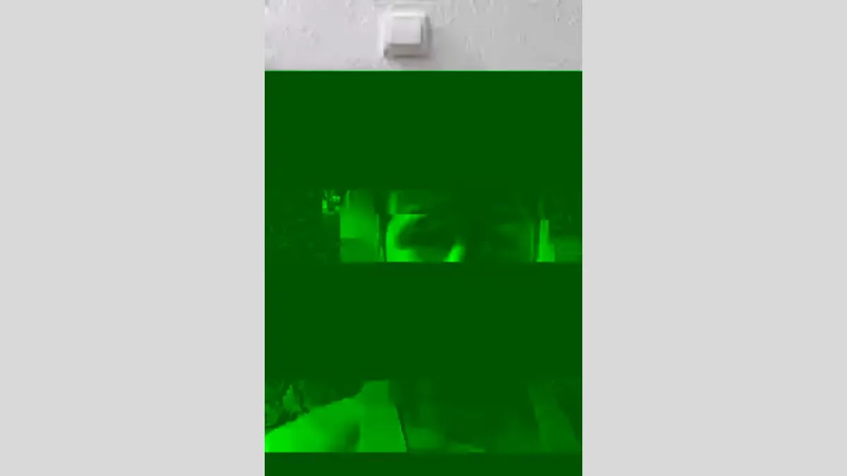A screenshot of a pixellated Whatsapp call, where a man's eyes can be seen within a mostly green, blurry image. 