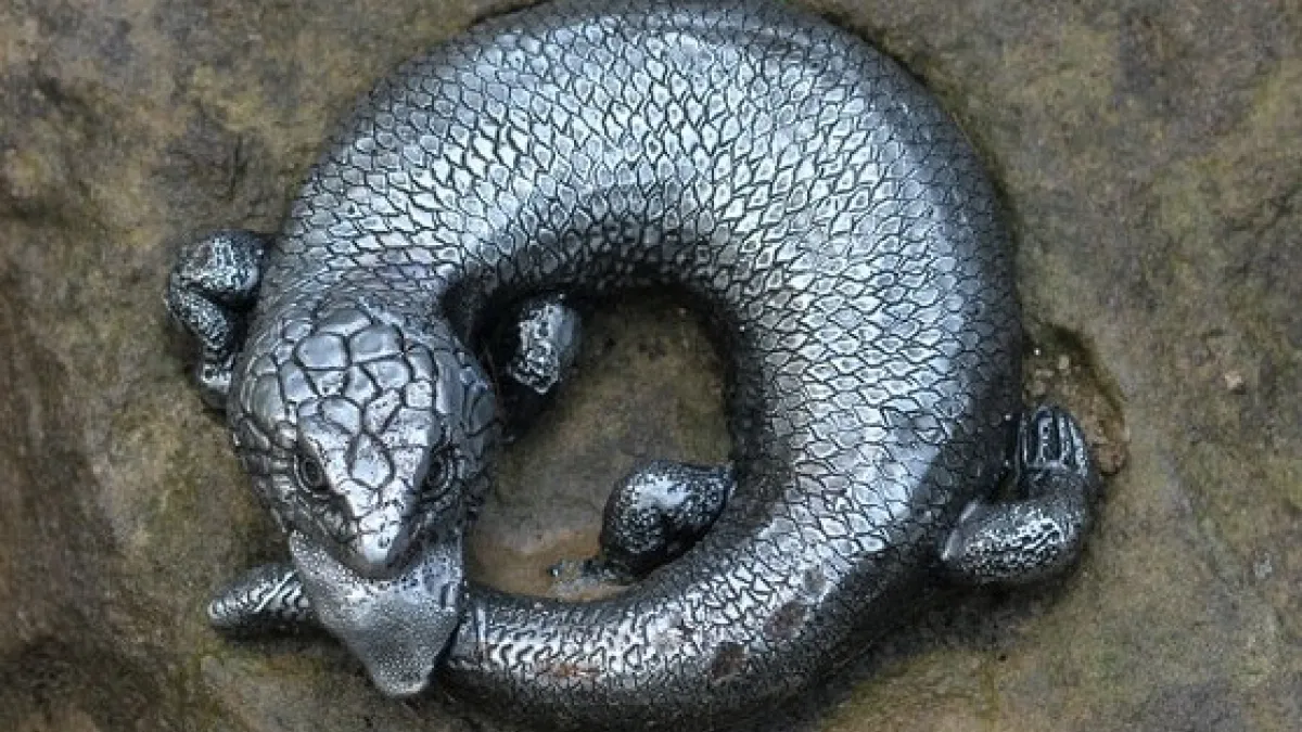 Large sculpture of a blue-tonged lizard sensory feature at a playground