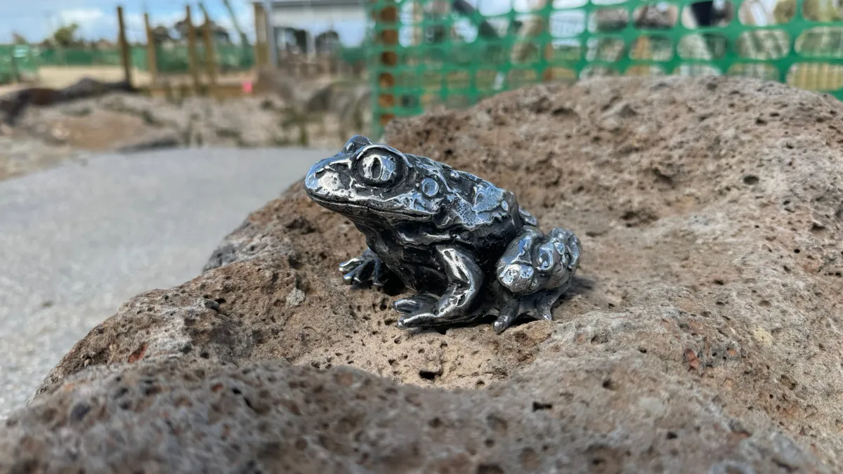 Tactile, glossy frog sculpture on a large rock