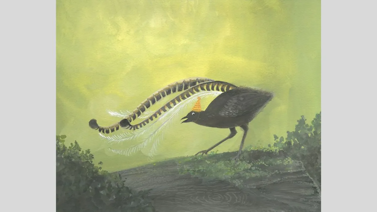 Painted illustration of a dark bird stands on a mossy log, its head topped with a bright yellow party hat. Two long, curved tail plumes arch above its back, with fine white filaments fanning outward. The background is blurred in soft green tones.