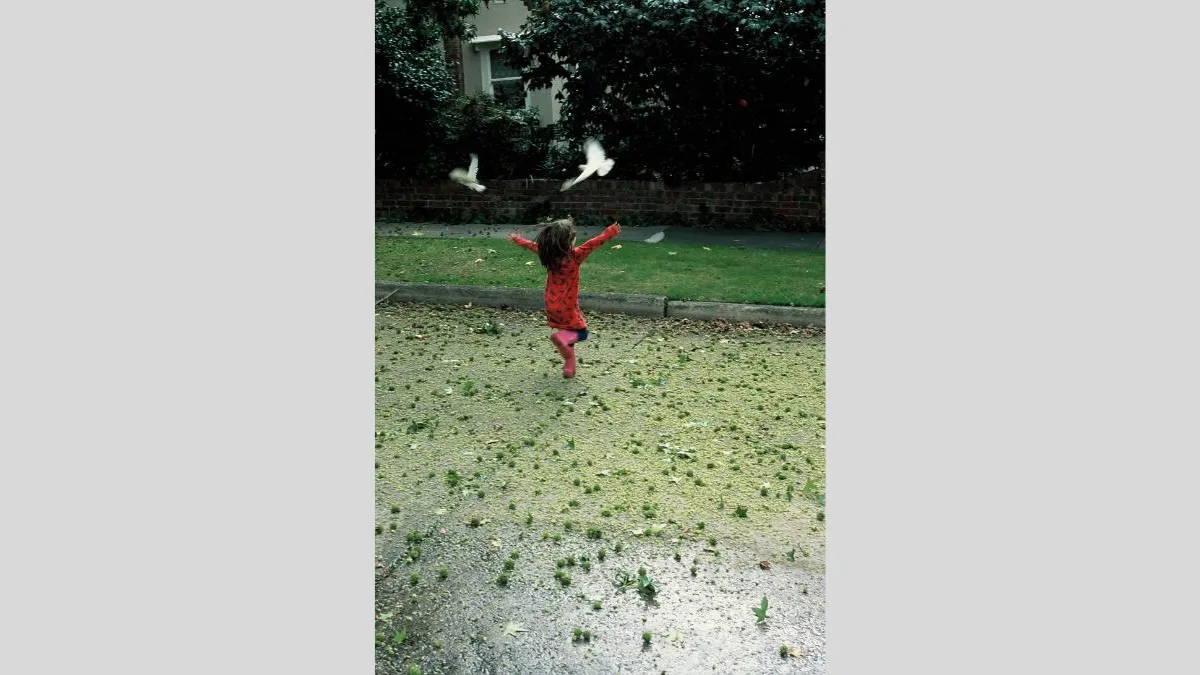 Photograph of a small child running across a grey road that has been covered by green leaves, seed pods and pollen. The child is dressed in a red patterned outfit and pink gumboots with arms raised, while two white birds fly ahead near a grassy area and trees.