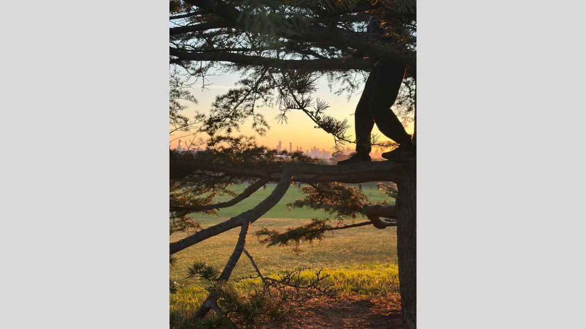 Photograph of a person’s lower body standing on a tree branch, with angled limbs and textured bark in the foreground. In the background is a grassy field with figures playing a sports game and a distant city skyline at sunset.