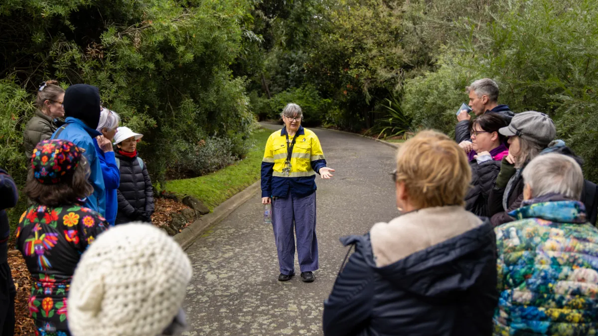 A worker in high-visibility vest leads a guided tour through a park